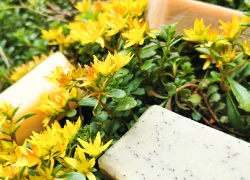 Le VRAI ou FAUX des idées reçues sur les cosmétiques bio...