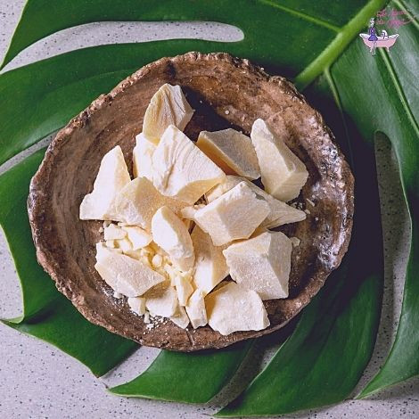 Le Beurre de Cacao : Vertus et bienfaits pour les soins
