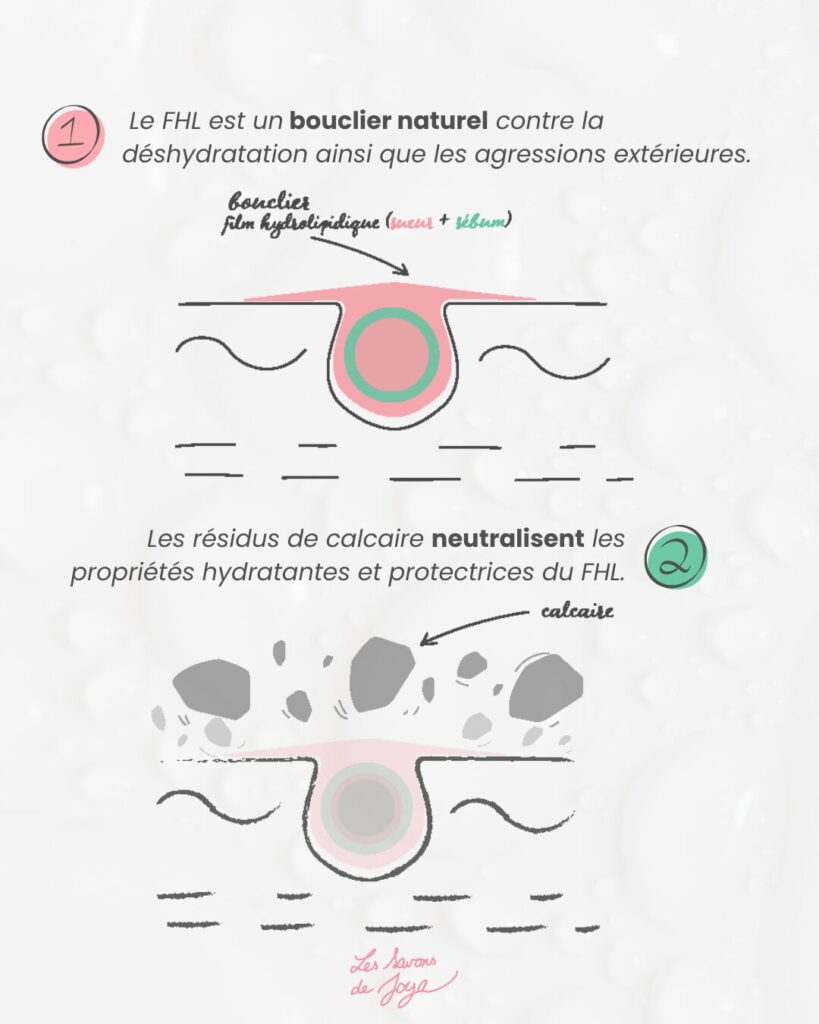 Infographie sur le film Hydrolipidique