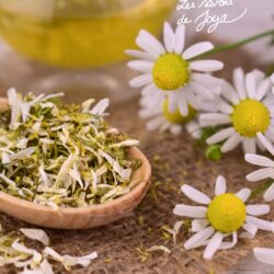Bienfaits de la camomille : guide complet pour la peau et les cheveux