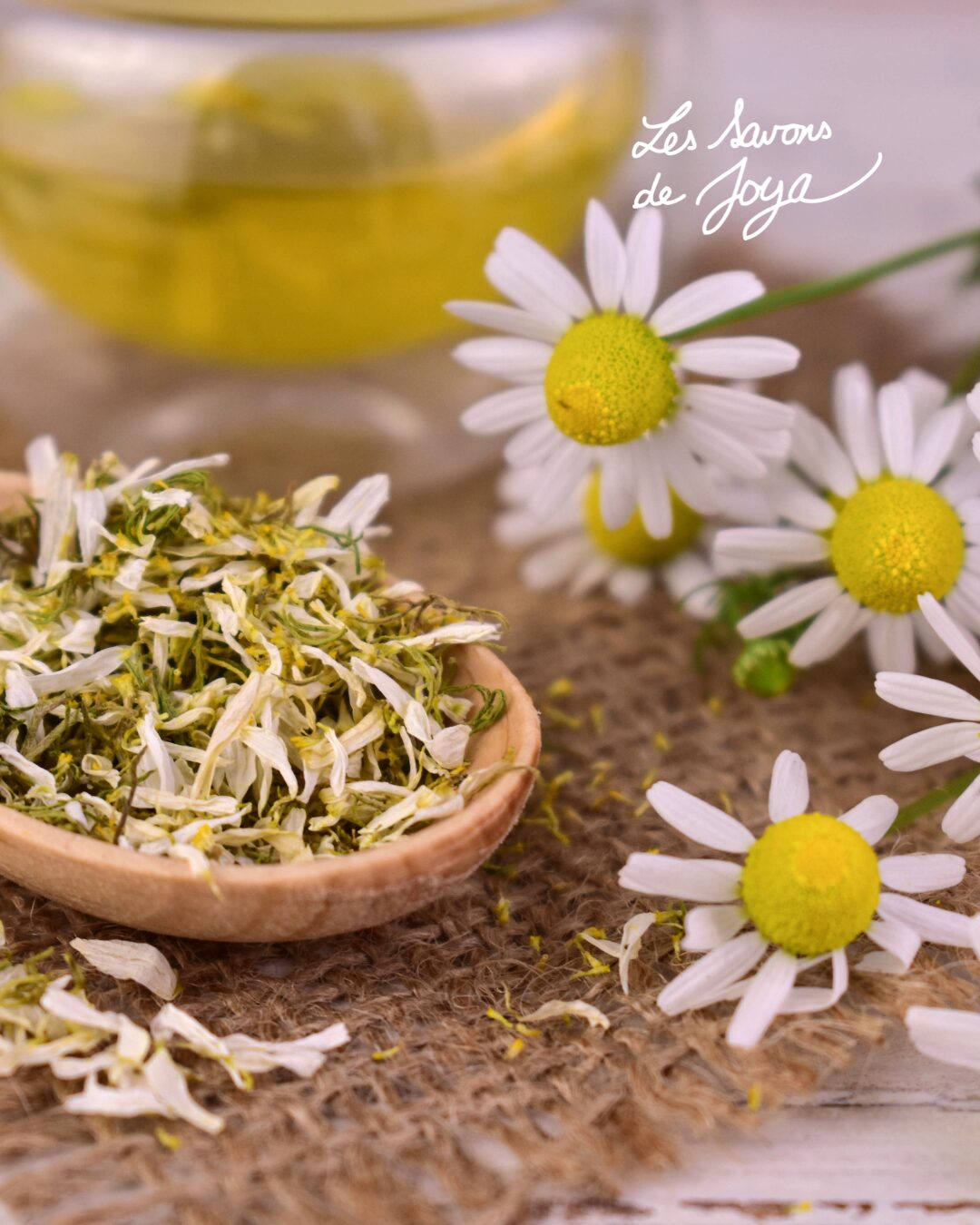 Bienfaits de la camomille : guide complet pour la peau et les cheveux