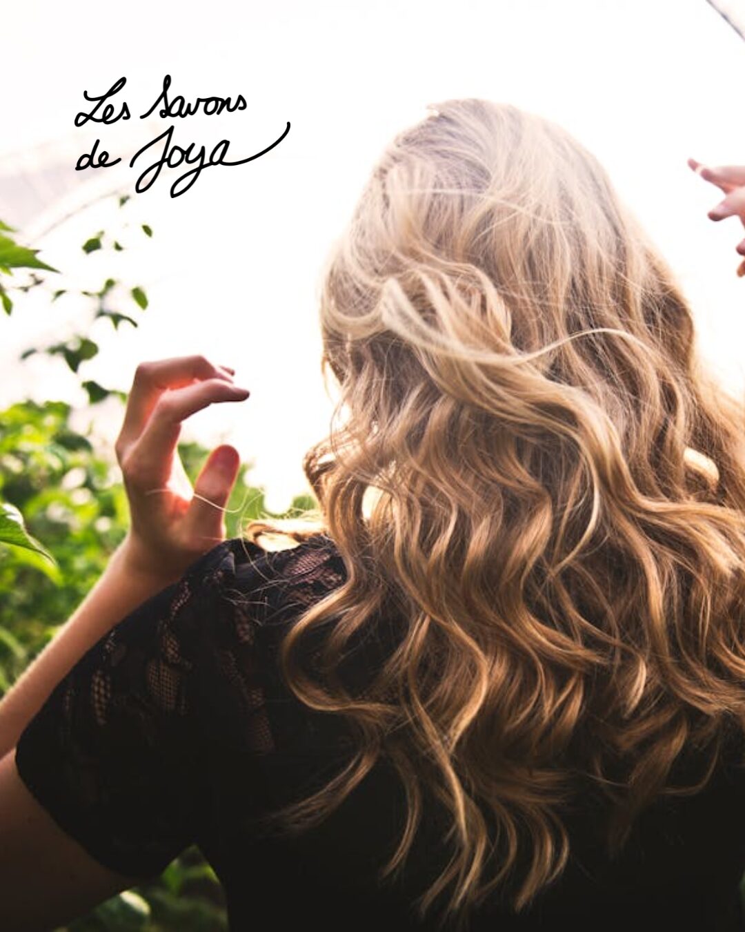 Bienfaits de l'huile d'argan : le guide complet pour vos cheveux et votre peau