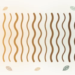 Routine capillaire en automne : quoi changer, et pourquoi