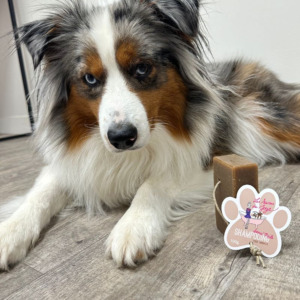 Offrez un Soin Doux et Écologique à Votre Compagnon !