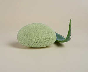 Éponge Konjac - Aloe vera