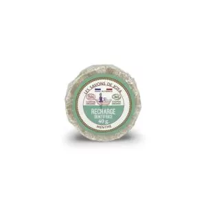 Recharge boite dentifrice solide à la menthe de 40 grammes.