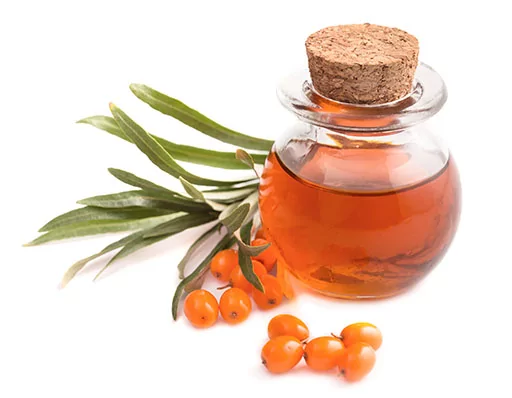 Hippophae rhamnoides seed oil ou huile d'argousier bio