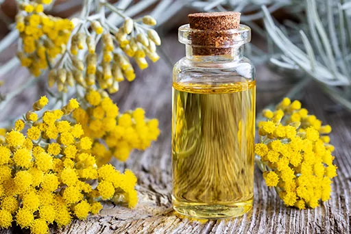 L’helichrysum italicum flower oil 