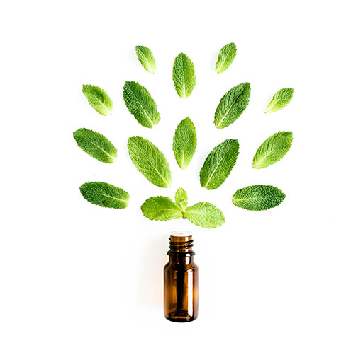 Mentha viridis leaf oil ou Huile essentielle de menthe verte bio 