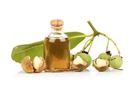 L'huile végétale de calophylle bio : une huile précieuse pour votre visage