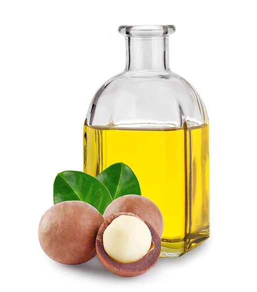 Macadamia ternifolia seed oil ou huile vegetale de macadamia bio