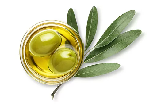 Oléa europea fruit oil ou huile végétale d'olive bio