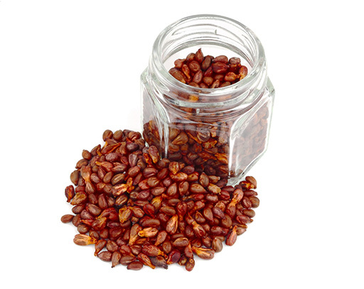 L'huile végétale de pépin de raisin bio