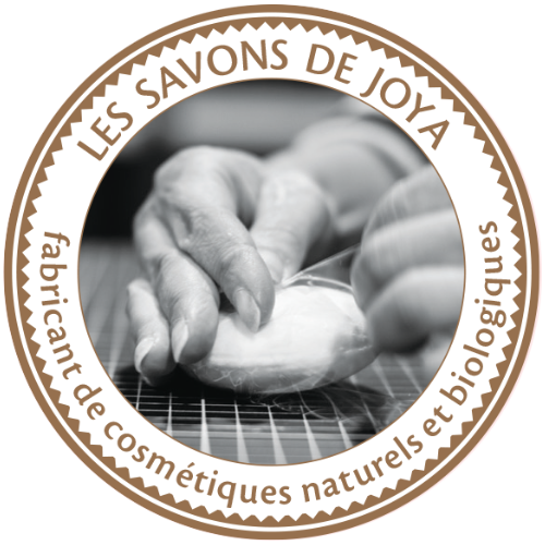 Description de notre équipe